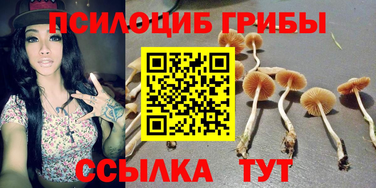 Галлюциногенные грибы мицелий Губкин