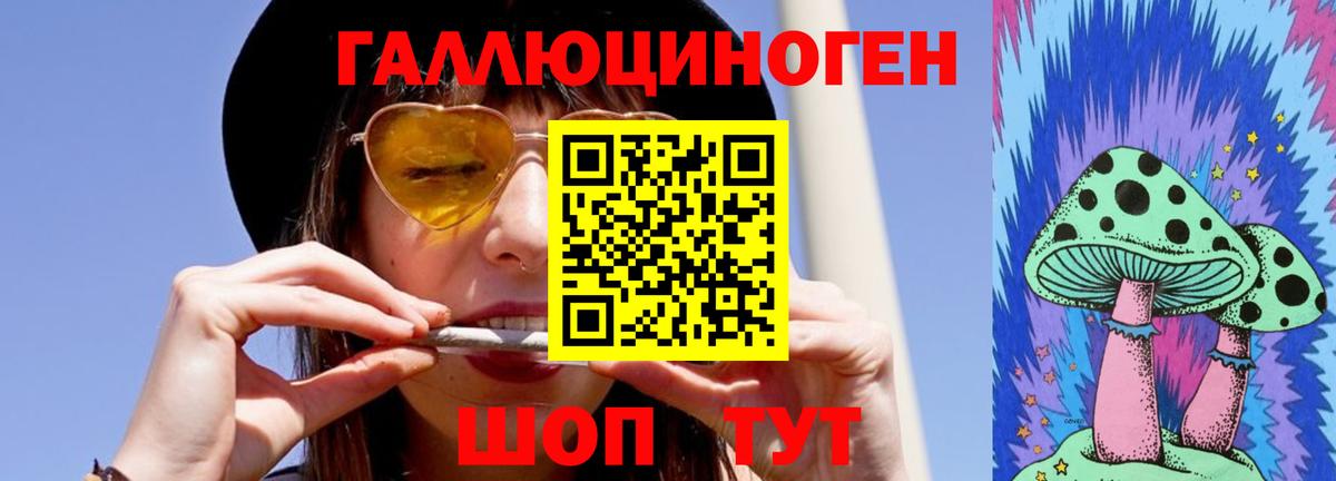 Губкин  Псилоцибиновые грибы прущие грибы  Вход с VPN 