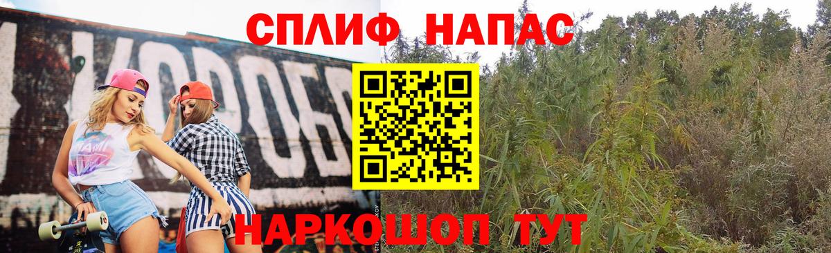 Губкин  Конопля сатива  Бошки Шишки марихуана  Вход с VPN 